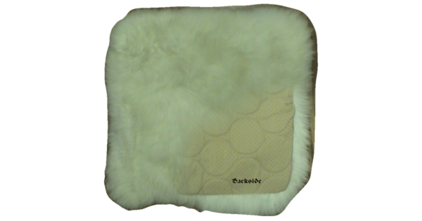 Stadium Seat Cushion