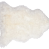 Single Sheepskin Pelt