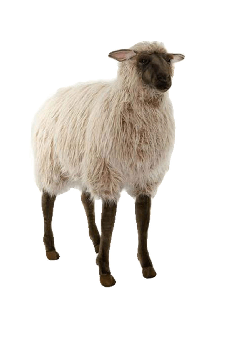 The Complete Sheep Shoppe Belvidere, IL Wool, Sheepskin Clothing, Shoes